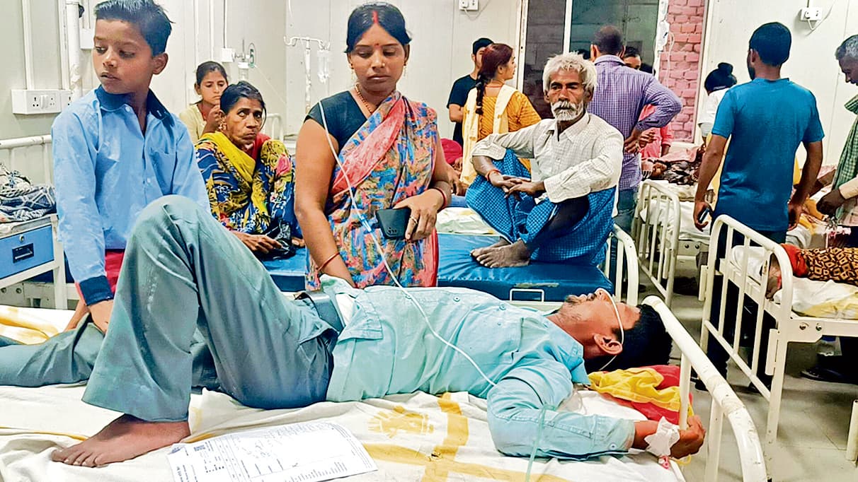 jehanabad News : श्रद्धालुओं पर मधुमक्खियों ने किया हमला, 20 जख्मी