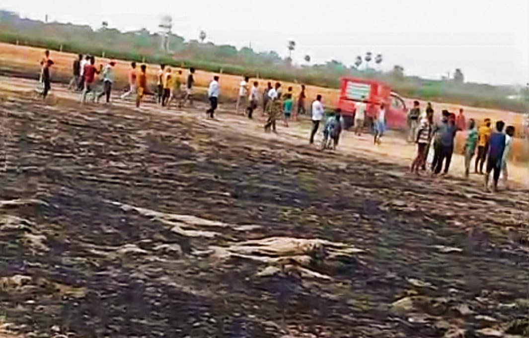 Chhapra News : खेत में आग लगने से पांच बीघा की फसल राख