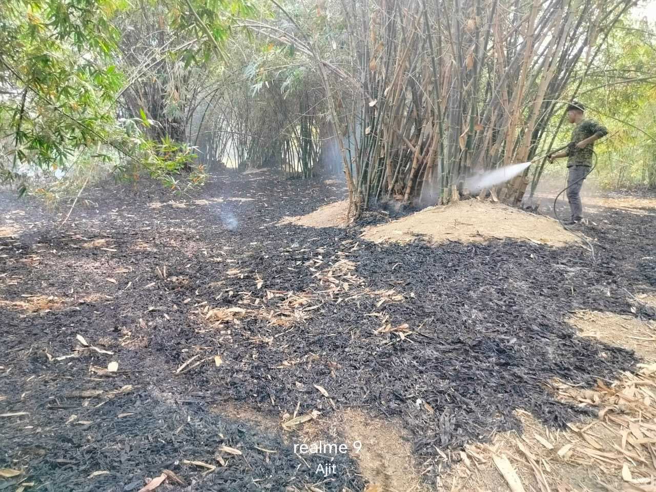 झपानी में बांस के बगीचे में लगी आग, दमकल से आग पर पाया काबू