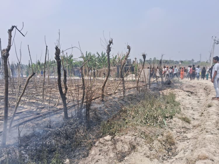 Fire incident in Samastipur:बथुआ में बरैठ व हसनपुर में गेहूं फसल खाक