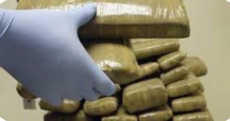 स्मैक कारोबार का बड़ा सेंटर बना पश्चिम बंगाल का कलियाचक जहां से पूरे सूबे में की जाती है आपूर्ति