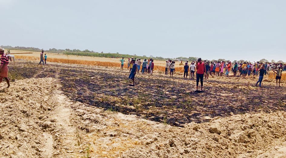 hajipur news. खलीहान में रखे 50 बोझे व तीन एकड़ में लगी गेहूं की फसल जल कर राख