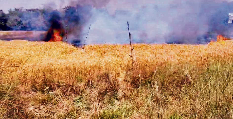 Chhapra News : आग लगने से डेढ़ बीघा गेहूं की फसल जली