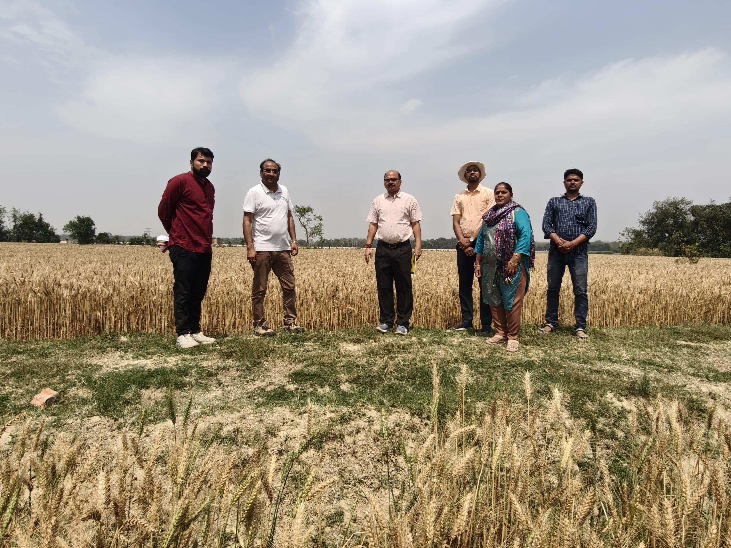 Madhubani News : निदेशक ने गेहूं बीज का किया निरीक्षण, दिये कई निर्देश