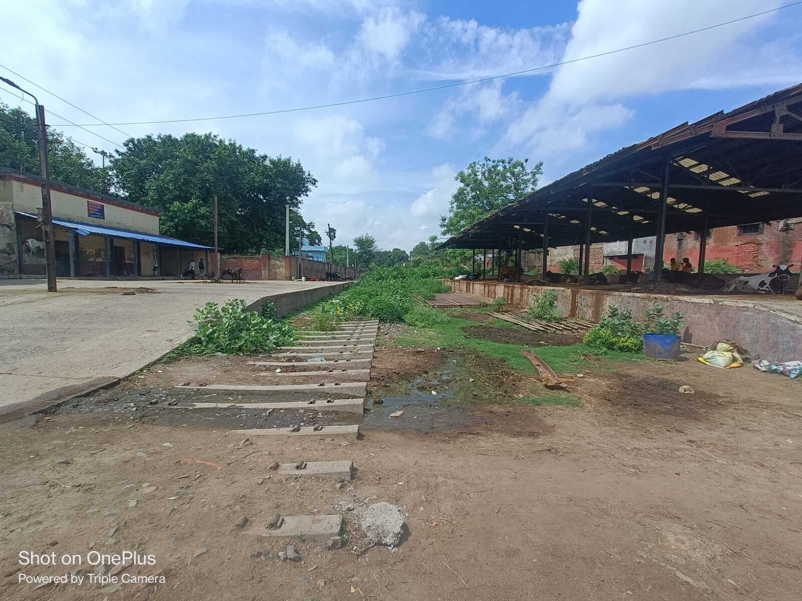 पटना घाट स्टेशन पर दौड़ती थी ट्रेन,अब चलेगे वाहन