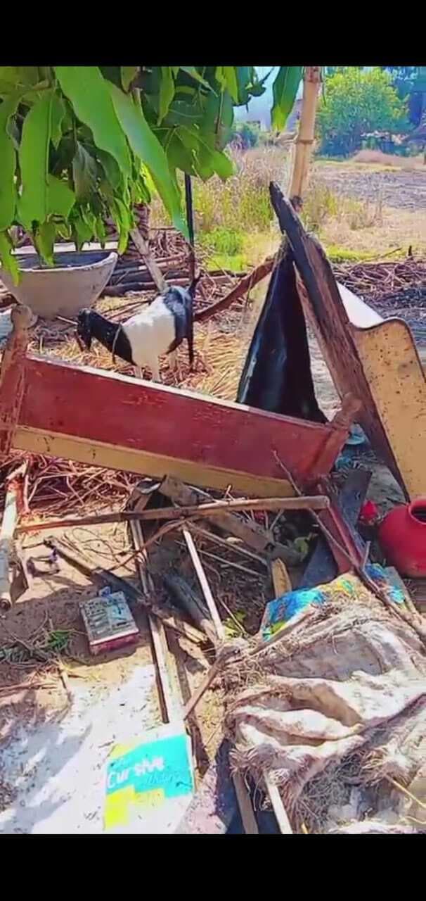 झोंपड़ी में लगी आग, सारा सामान जलकर खाक