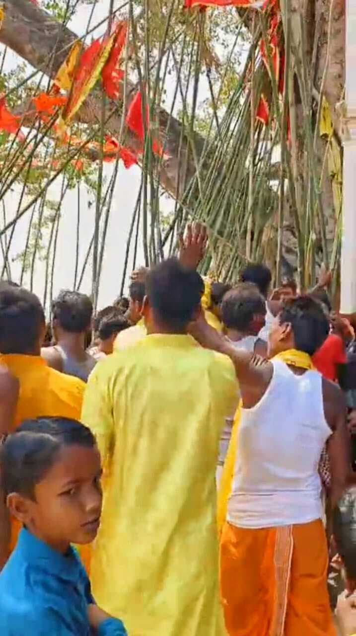 मंदिरों में फहराया गया महावीरी पताका