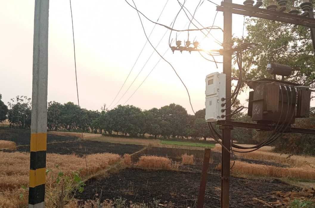 आग लगने से तैयार गेंहू की फसल राख