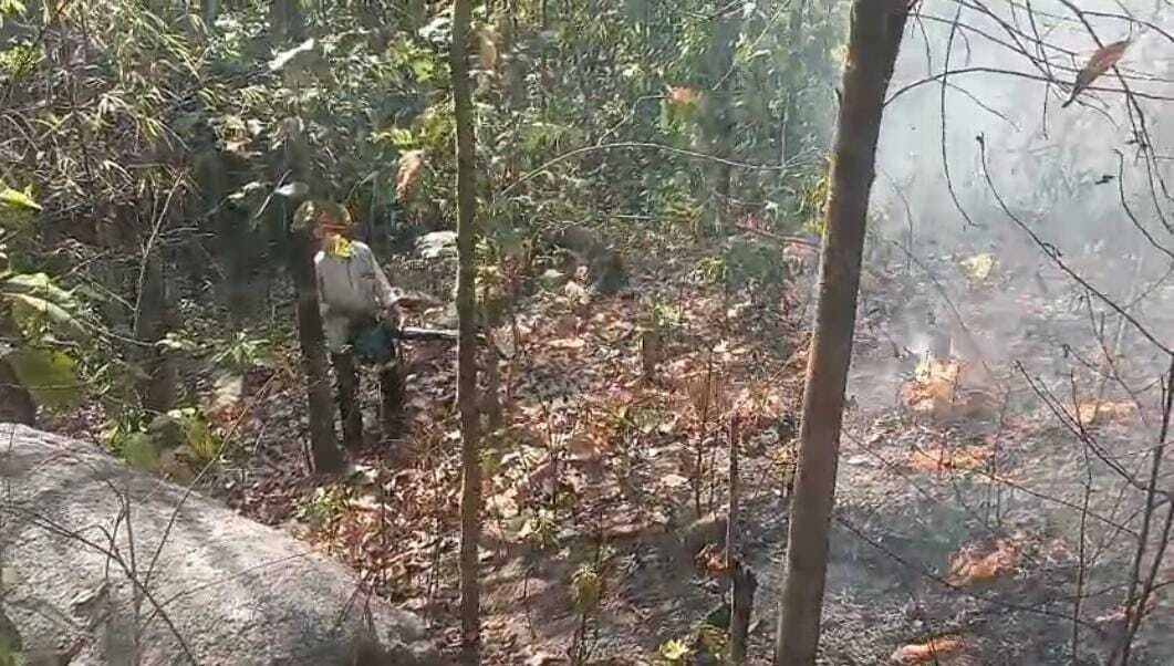 Bokaro News : झुमरा पहाड़ के वनों में लगी आग बुझायी गयी