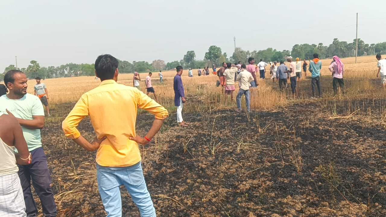 शेखाबिगहा बधार में लगी आग, गेहूं की फसल जली