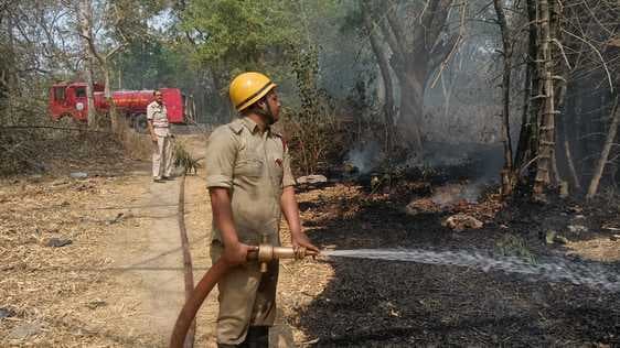 किसान परिसदन के सामने जंगल में लगी आग