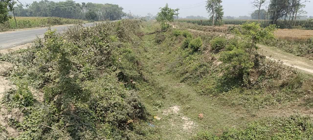 अंतिम छोर तक नहीं पहुंच रहा नहर का पानी, सूखने लगी मक्का की फसल