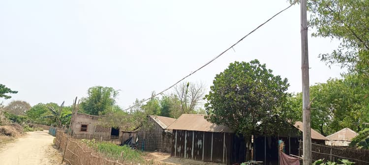 पोल के अभाव में बांस-बल्ले के सहारे विद्युत तार ले जाने की मजबूरी