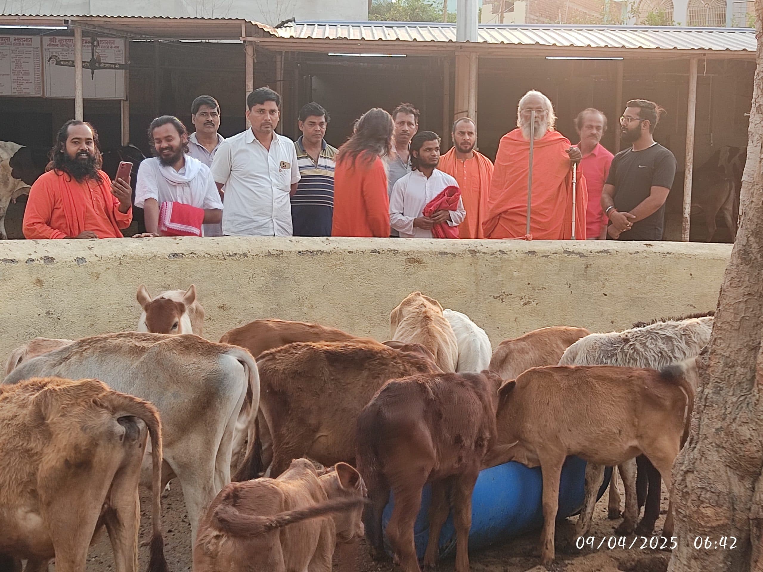 चतुरानंद जी महाराज ने गोशाला का लिया जायजा