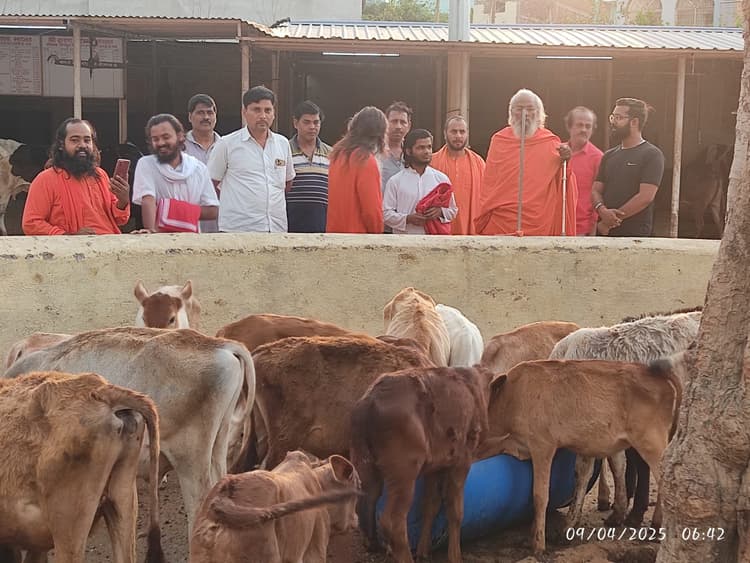 चतुरानंद जी महाराज ने गोशाला का लिया जायजा