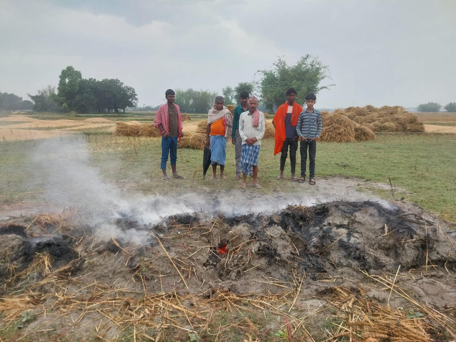 Madhubani News : बिजली गिरने से गेहूं की फसल जलकर राख