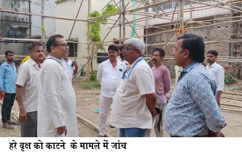 125 वर्ष पुराना पेड़ काटने की जांच करने पहुंची टीम