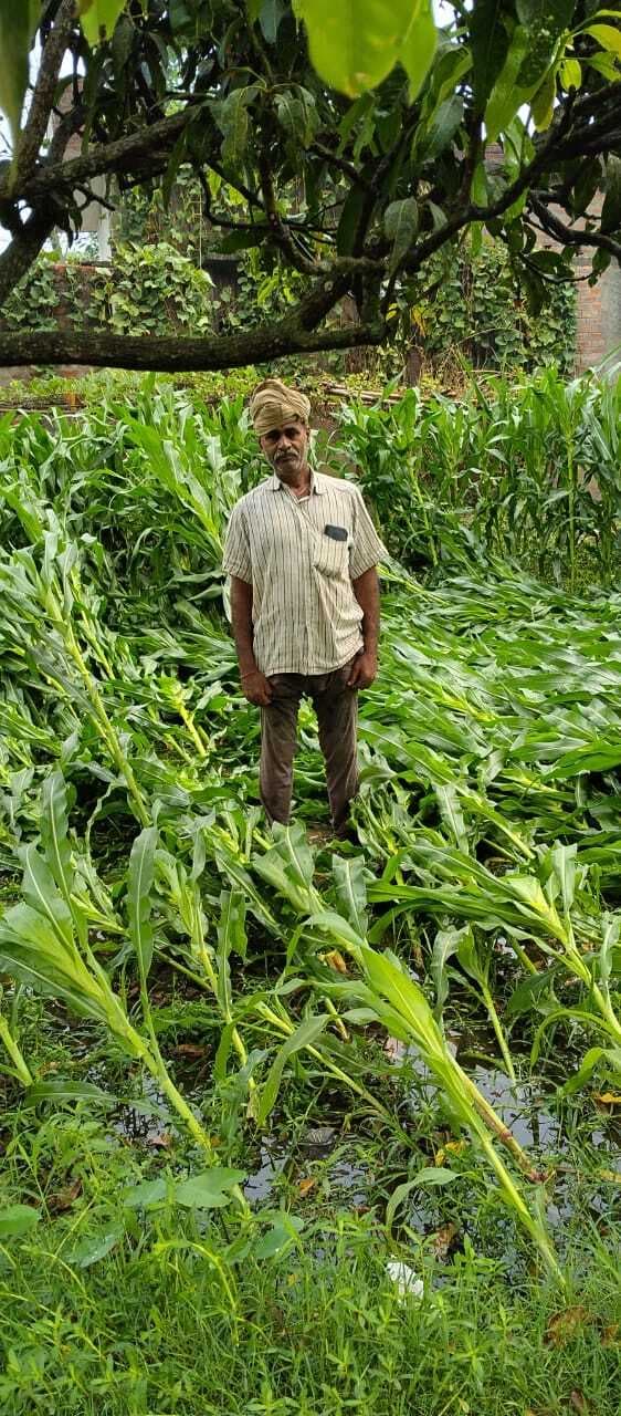 मौसम का बदला मिजाज, किसानों के चेहरे पर छायी मायूसी