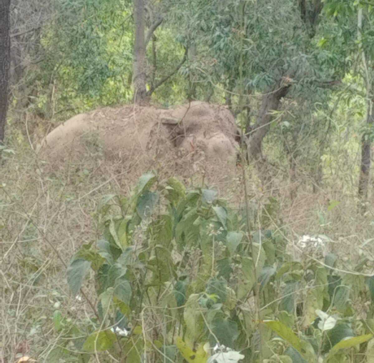 बारिश व गजराज ने टाटीझरिया में मचायी तबाही