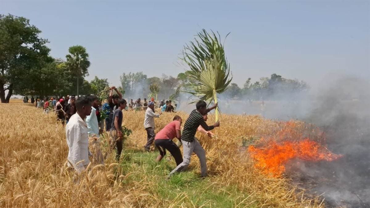 Sasaram News : तीन दिनों में 50 बीघा गेहूं की फसल हुई खाक