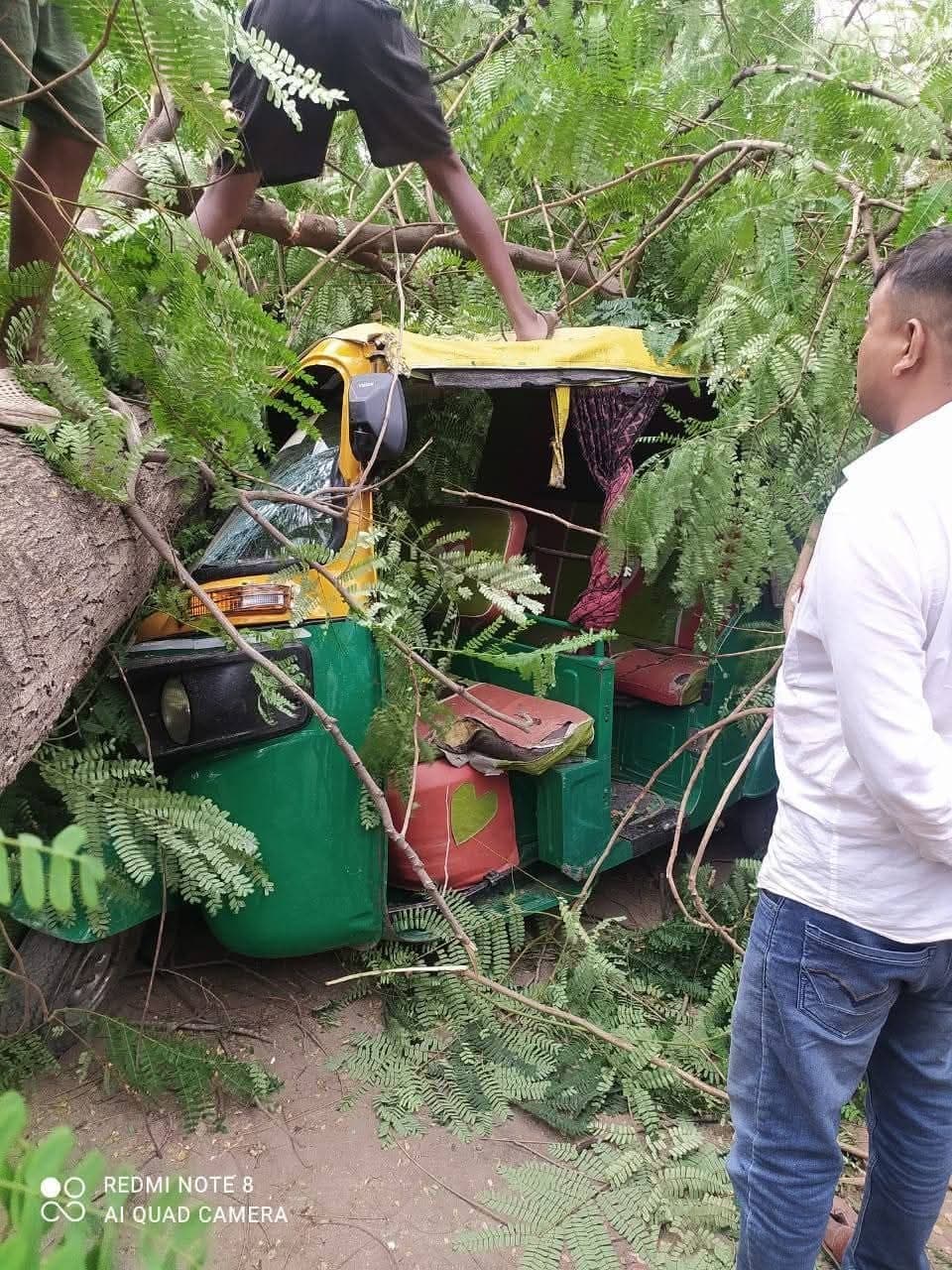 Sasaram News : आंधी-पानी : रौजा रोड में ऑटो पर गिरा पेड़, मची अफरातफरी