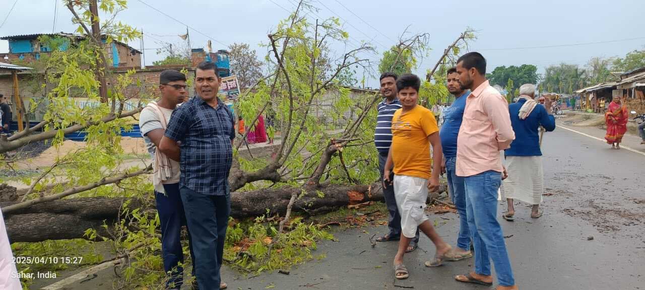 Madhubani News : एनएच पर गिरा पेड़, एक घायल