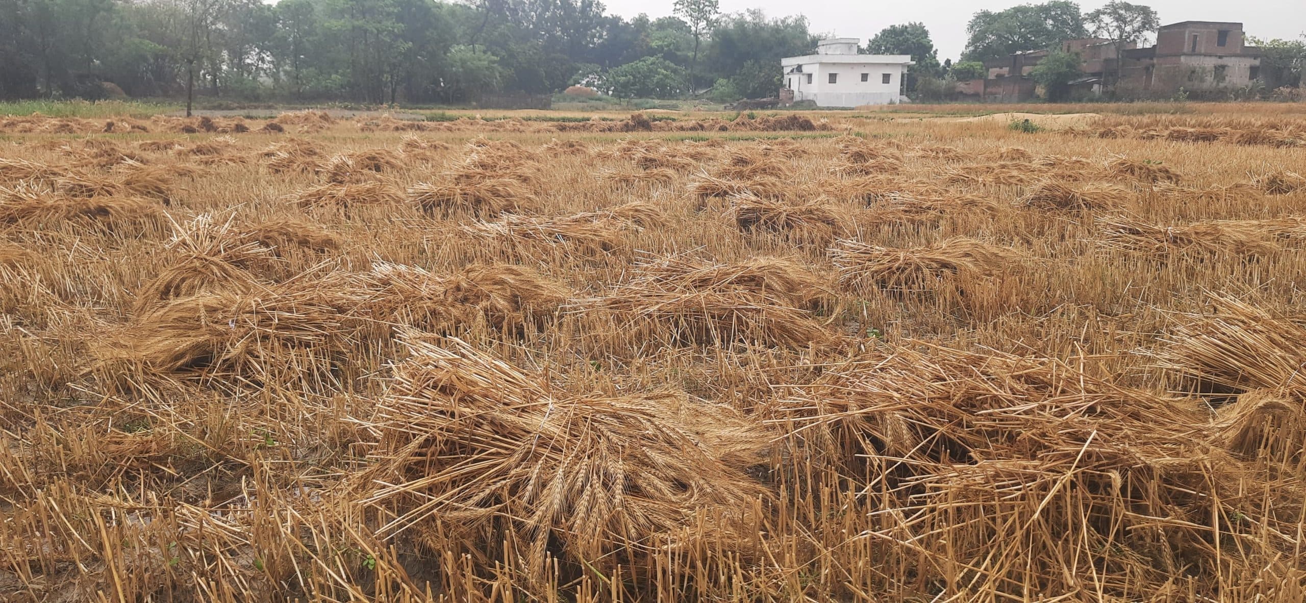 जिले में मौसम का बदला मिजाज, तेज गरज के साथ पूरे दिन रूक-रुक होती रही बारिश