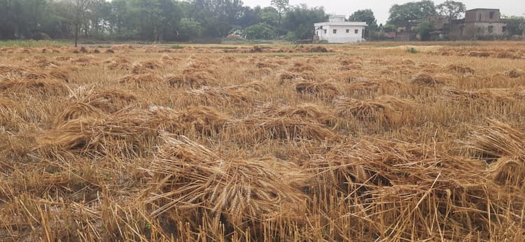 जिले में मौसम का बदला मिजाज, तेज गरज के साथ पूरे दिन रूक-रुक होती रही बारिश