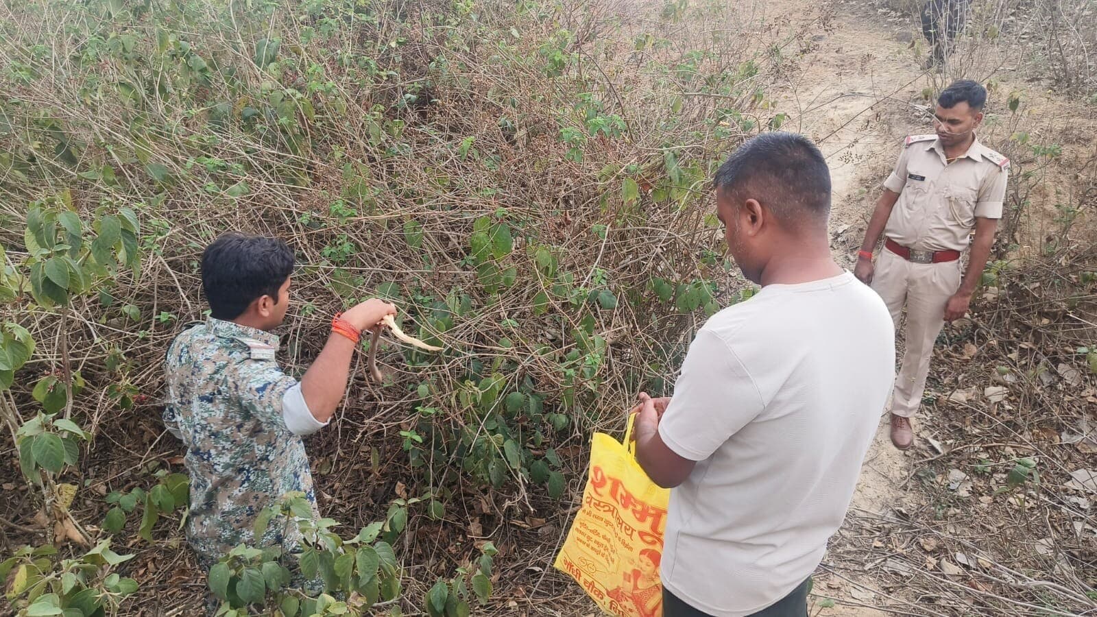 Giridih News: कारीपहरी के पास संदिग्ध मांस बरामद, जांच में जुटी पुलिस