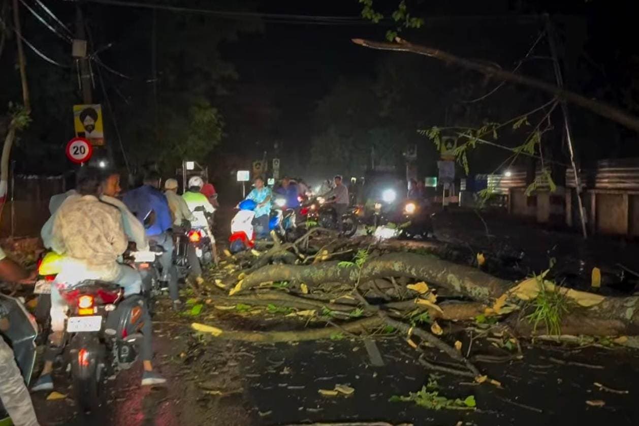 शहर से लेकर ग्रामीण इलाके में पेड़ गिरे, कई इलाके में बिजली आपूर्ति भी हुई प्रभावित