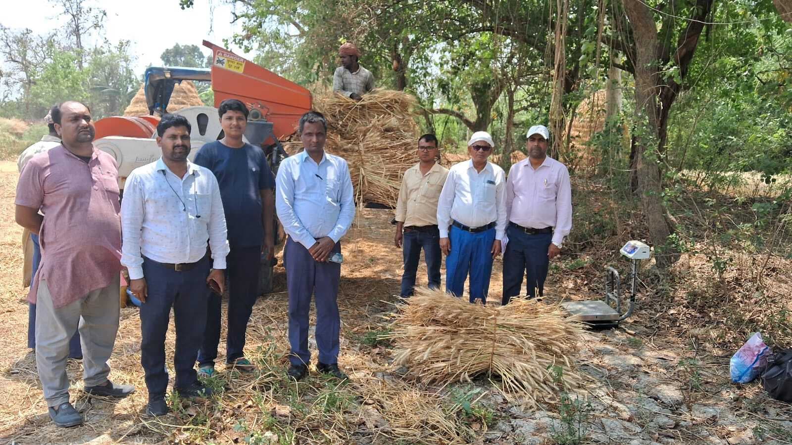 31.16 क्विंटल प्रति हेक्टेयर प्राप्त हुआ उपज