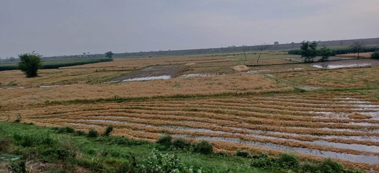 अधूरा सपना : बेमौसम बारिश में बह गयी छोटकी की उम्मीदें