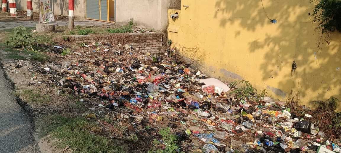 नियमित रूप से साफ-सफाई नहीं होने से नप के वार्डों में फैली है गंदगी
