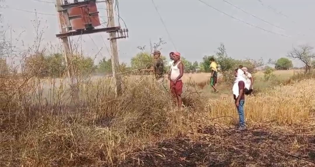 आठ एकड़ गेंहू  की फसल जलकर राख