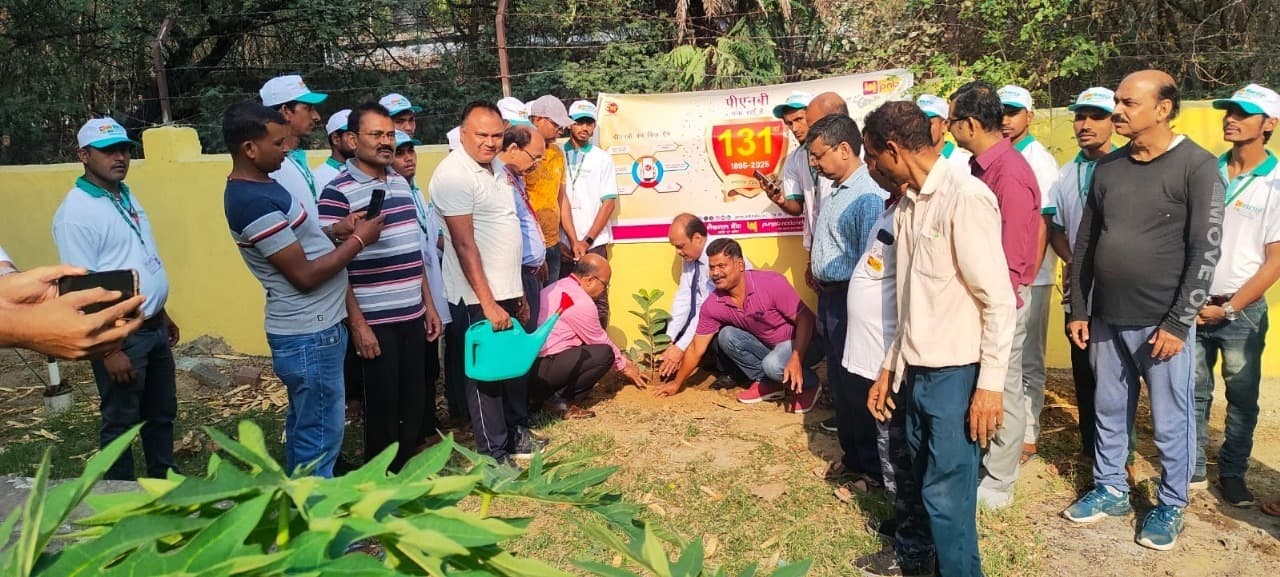 पीएनबी के स्थापना दिवस पर किया गया पौधारोपण