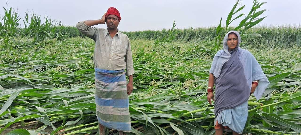 आंधी व बारिश से फसल हुई बर्बाद