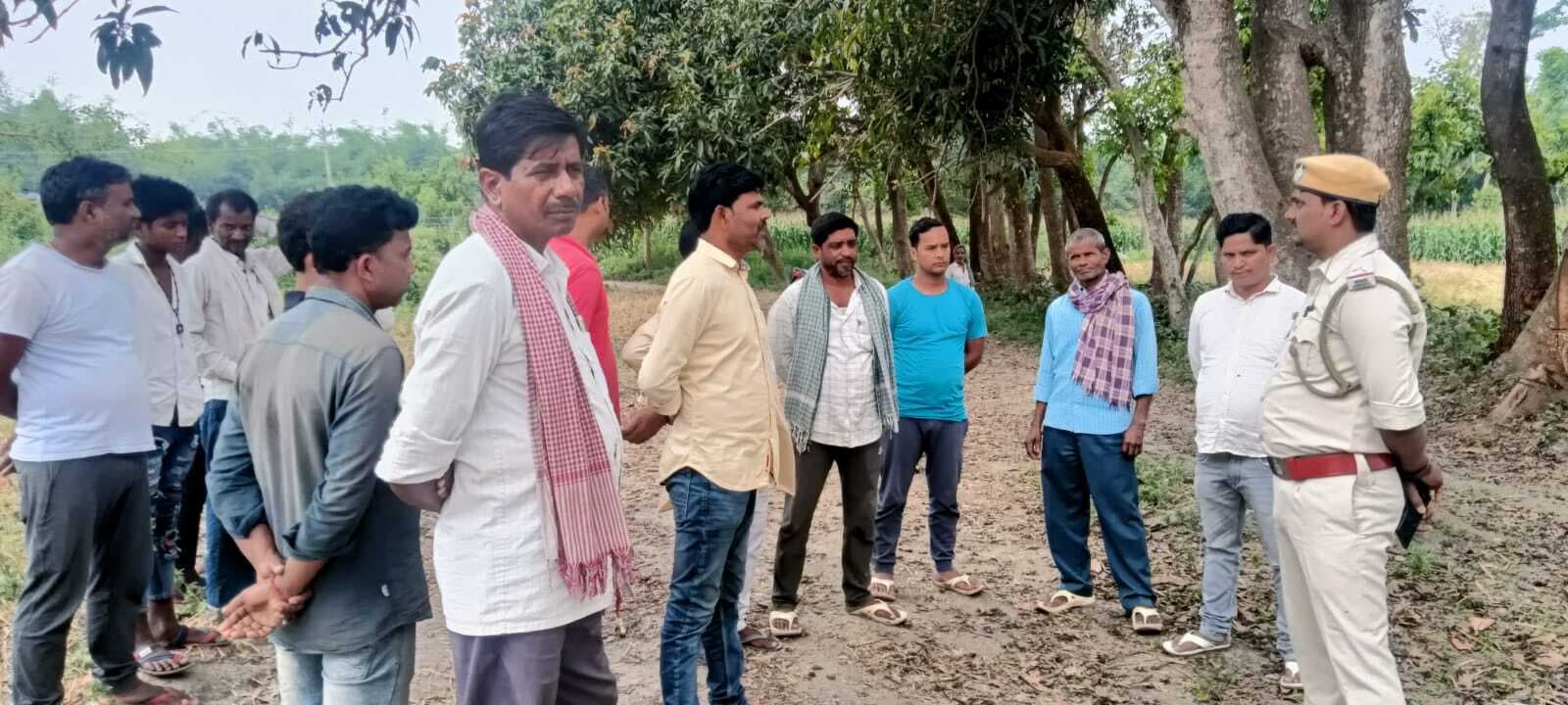 बिना अनुमति के काट दिया हरे भरे दर्जनों वूक्ष