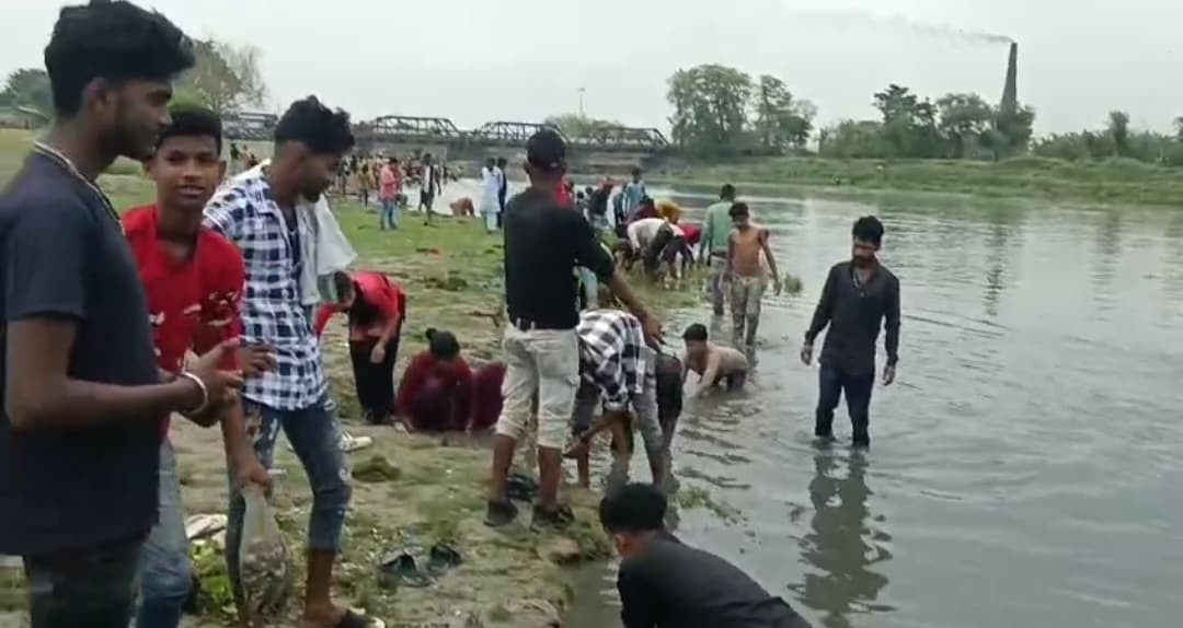 मीरगंज पुल के पास अचेतावस्स्था में मिलीं सैंकड़ों मछलियां