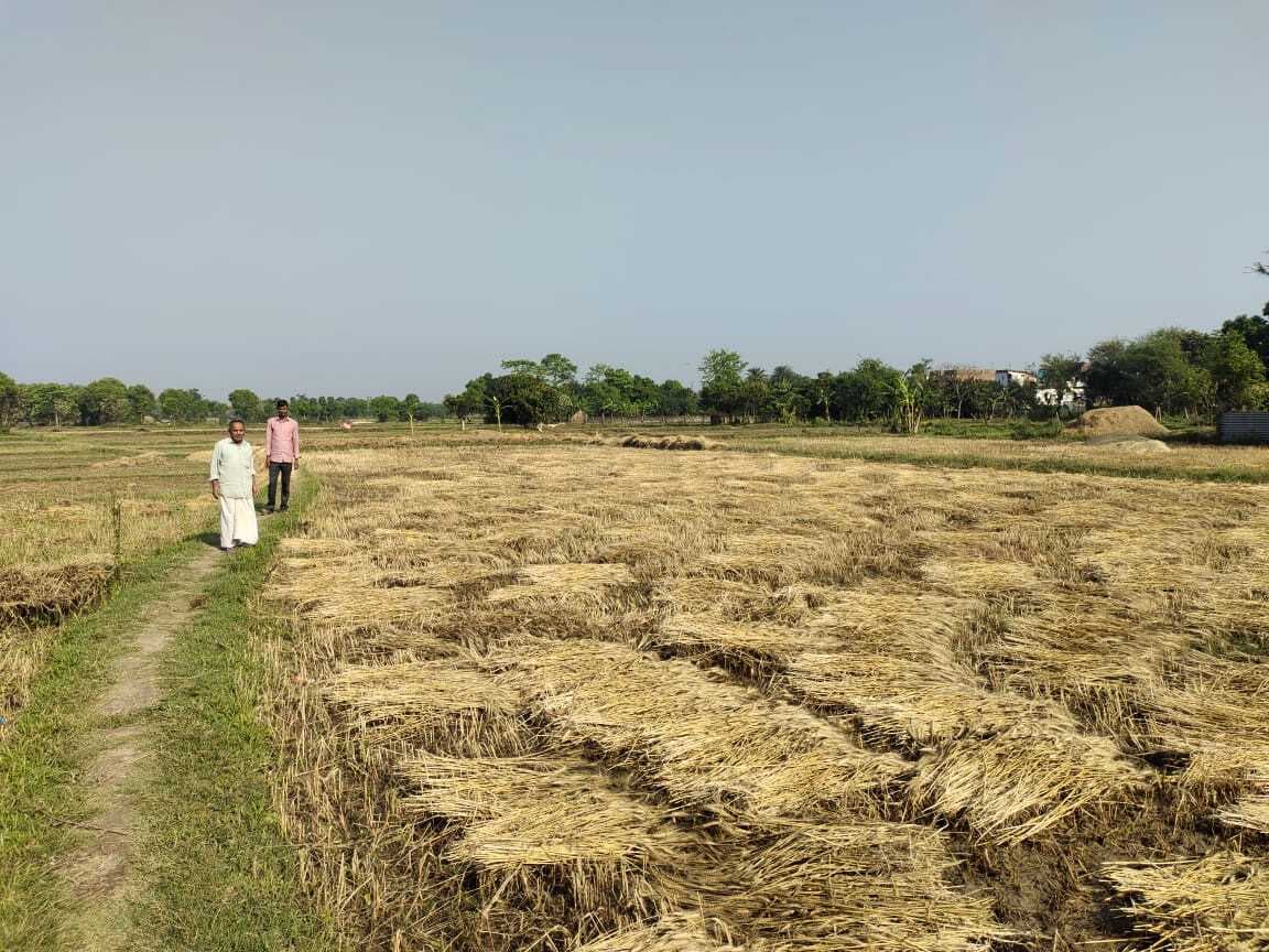 Madhubani News : कांग्रेस नेताओं ने गेहूं व मूंग क्षतिग्रस्त होने पर की मुआवजे मांग की