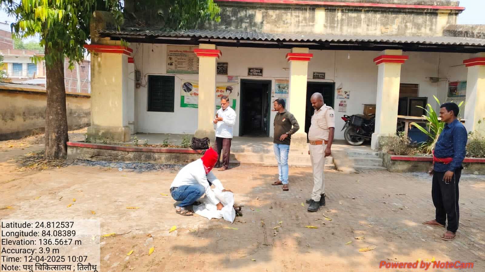 घायल बंदर का रेस्क्यू कर कराया गया इलाज