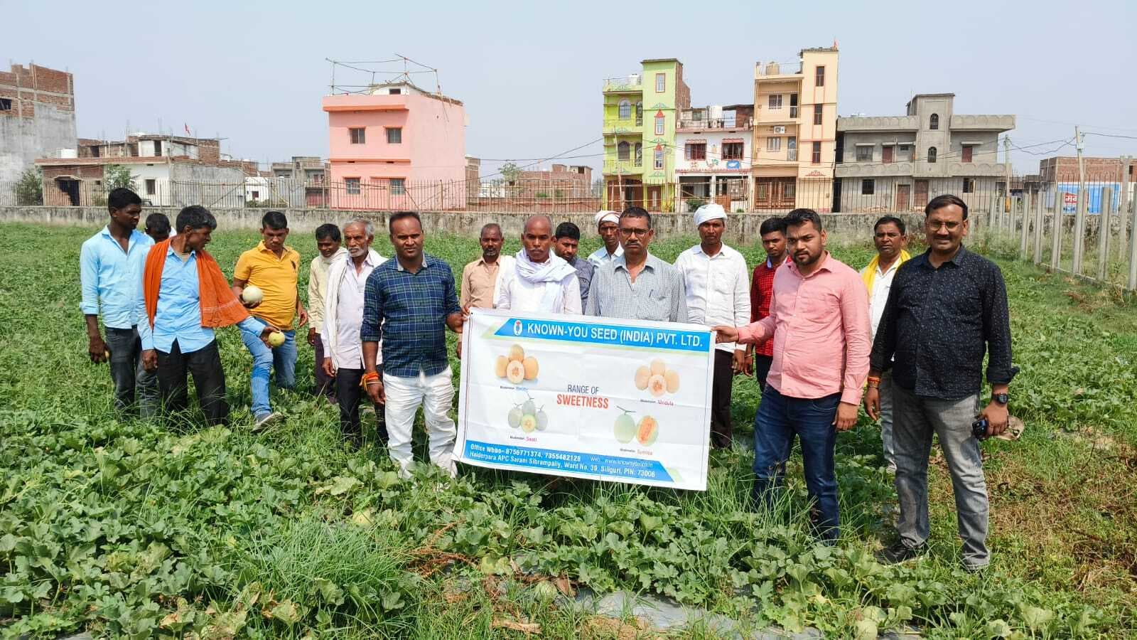 बीज उन्नत किस्म के होने पर खेती में अधिक फायदा