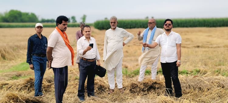 बारिश से प्रभावित गेहूं फसल का बीएओ व प्रखंड प्रमुख प्रतिनिधि ने लिया जायजा