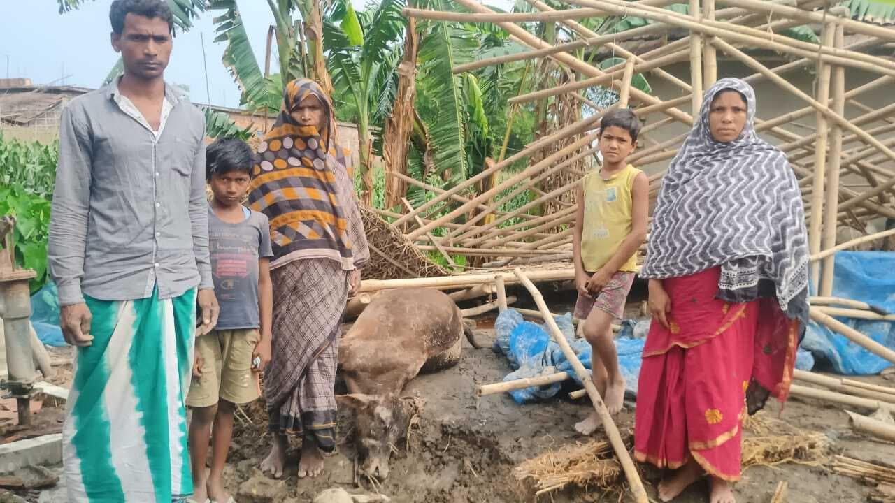 तेज आंधी में एक पशु घर गिरने से पशु की मौत