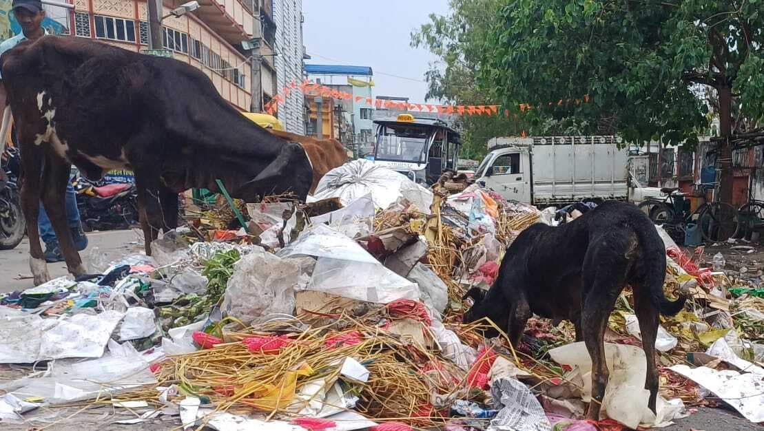 रविवार की छुट्टी में नहीं हो रहा कूड़ों का उठाव, कीचड़मय हो रही शहर की सड़कें
