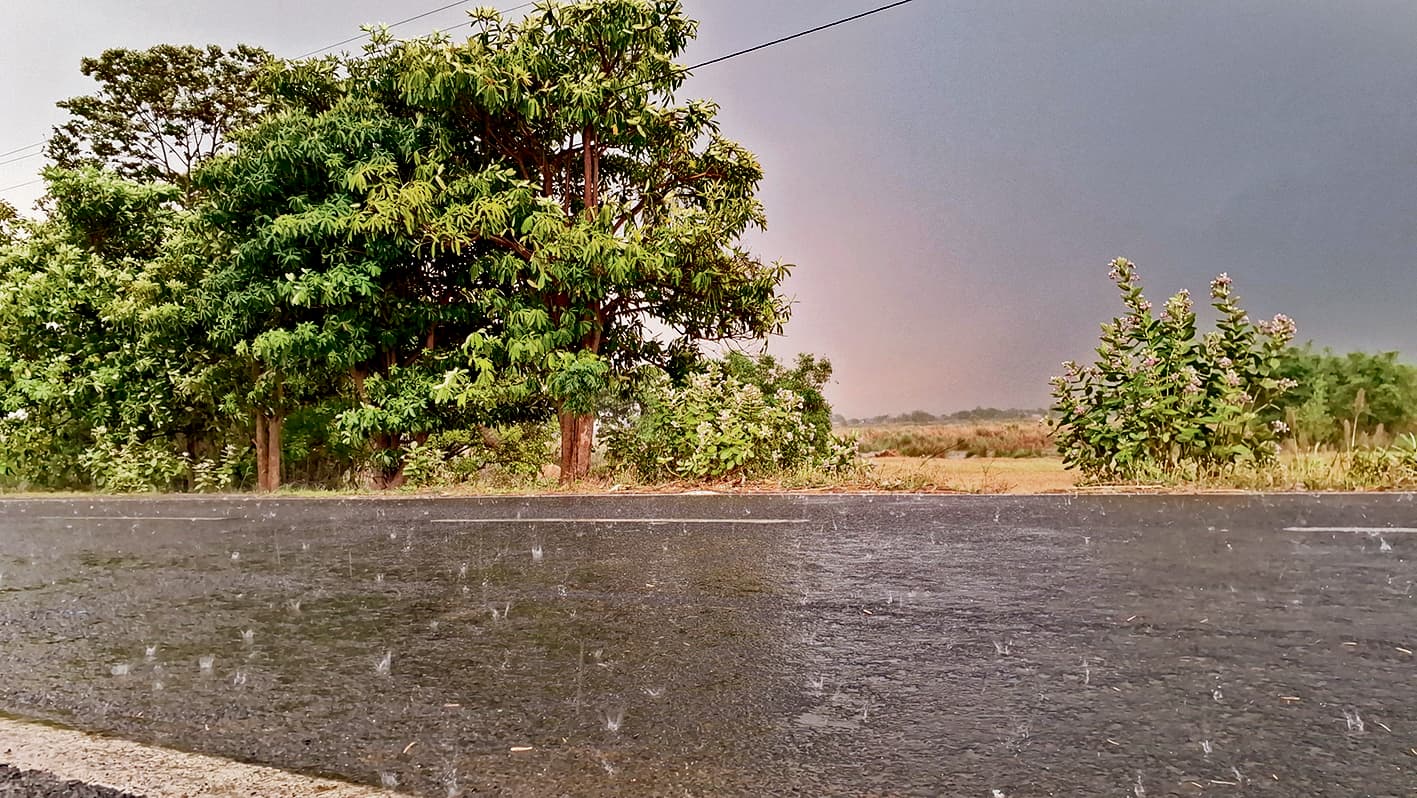 Gopalganj News  : तेज आंधी और बारिश ने फसलों को पहुंचाया नुकसान, गिरे पेड़, प्रशासन अलर्ट