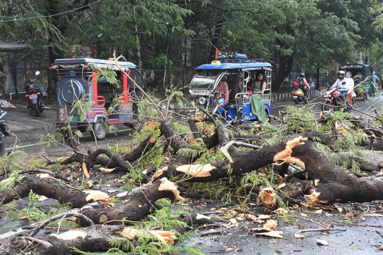 Dhanbad News : आंधी व बारिश से जगह-जगह टूट कर गिर गये दरख्त, जलजमाव व कीचड़ ने बढ़ायी परेशानी