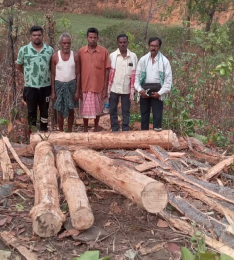 Bokaro News : कसमार के खुदीबेड़ा जंगल से अवैध लकड़ी बरामद