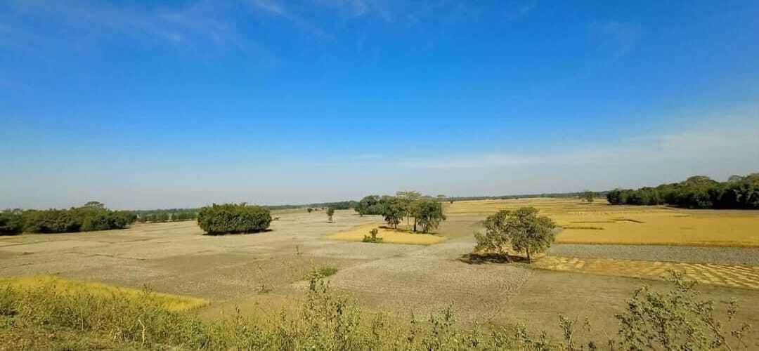 32 वर्षों से जमीन के निबंधन पर रोक, त्राहिमाम कर रहे कलिकापुर के रैयत