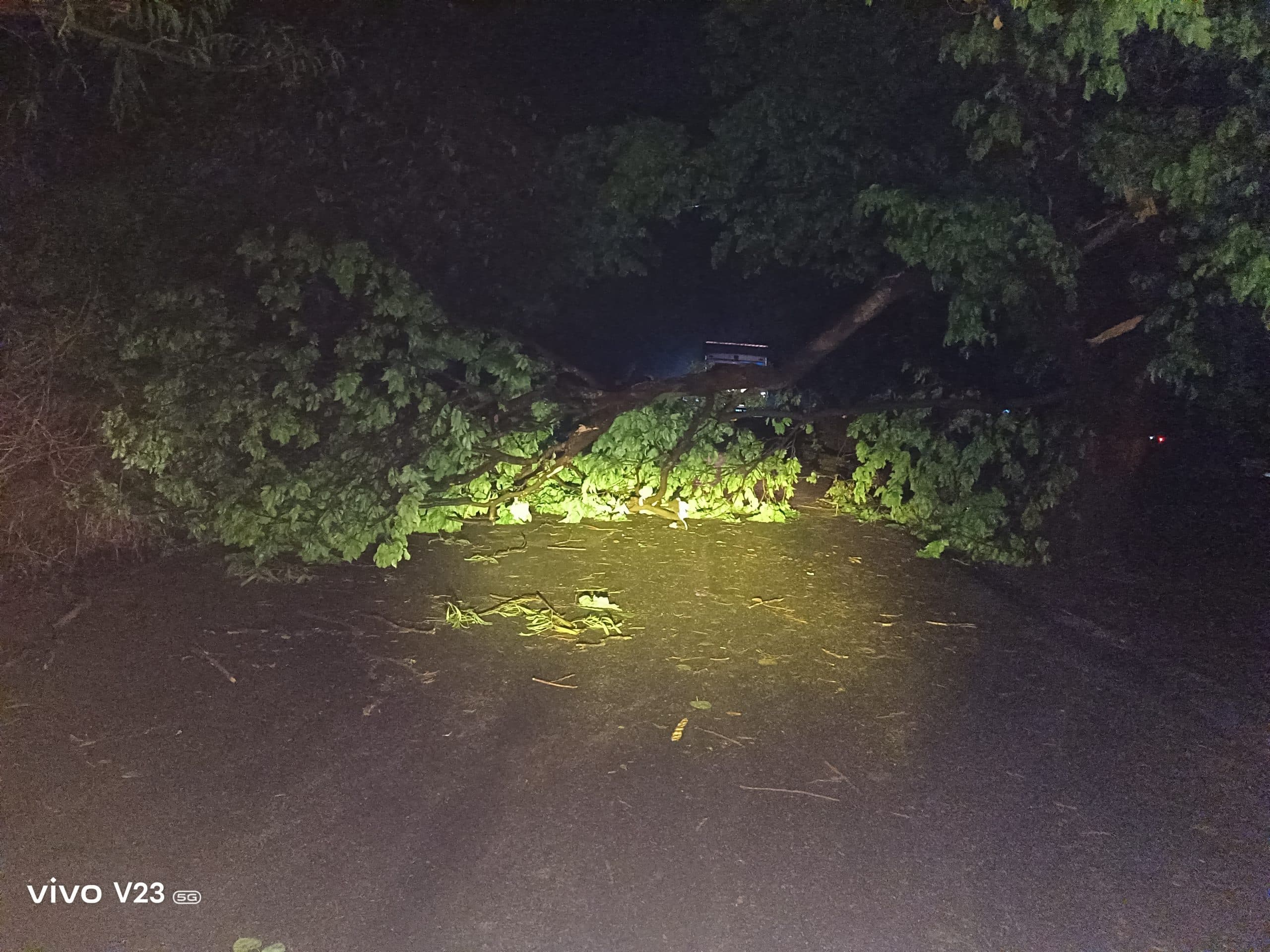 तेज आंधी और बारिश से गिरे पेड़, घरों की छत क्षतिग्रस्त, रोड जाम