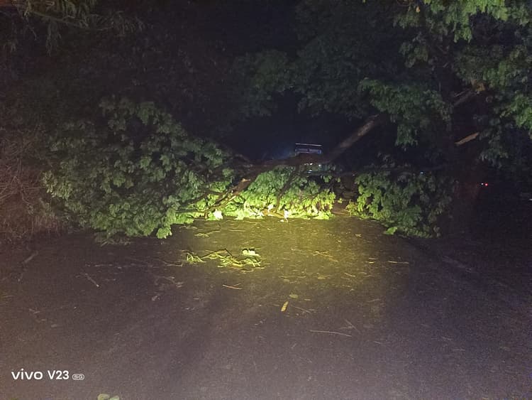 तेज आंधी और बारिश से गिरे पेड़, घरों की छत क्षतिग्रस्त, रोड जाम